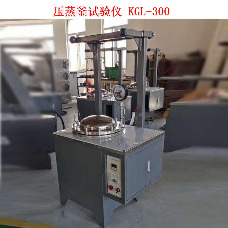壓蒸釜試驗儀 KGL-300的技術參數(shù)及結構特點